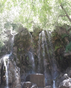 چناران