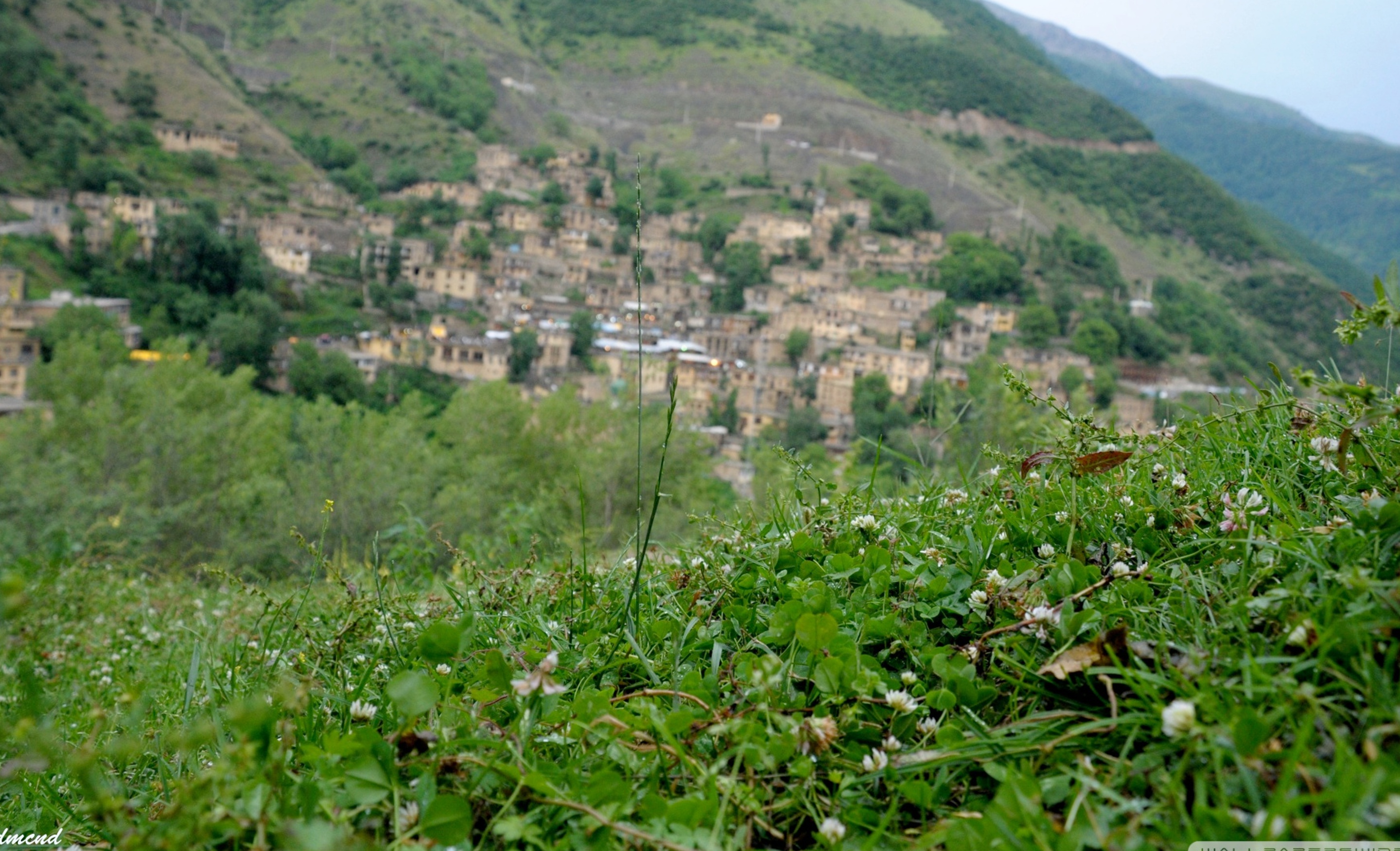 کردستان