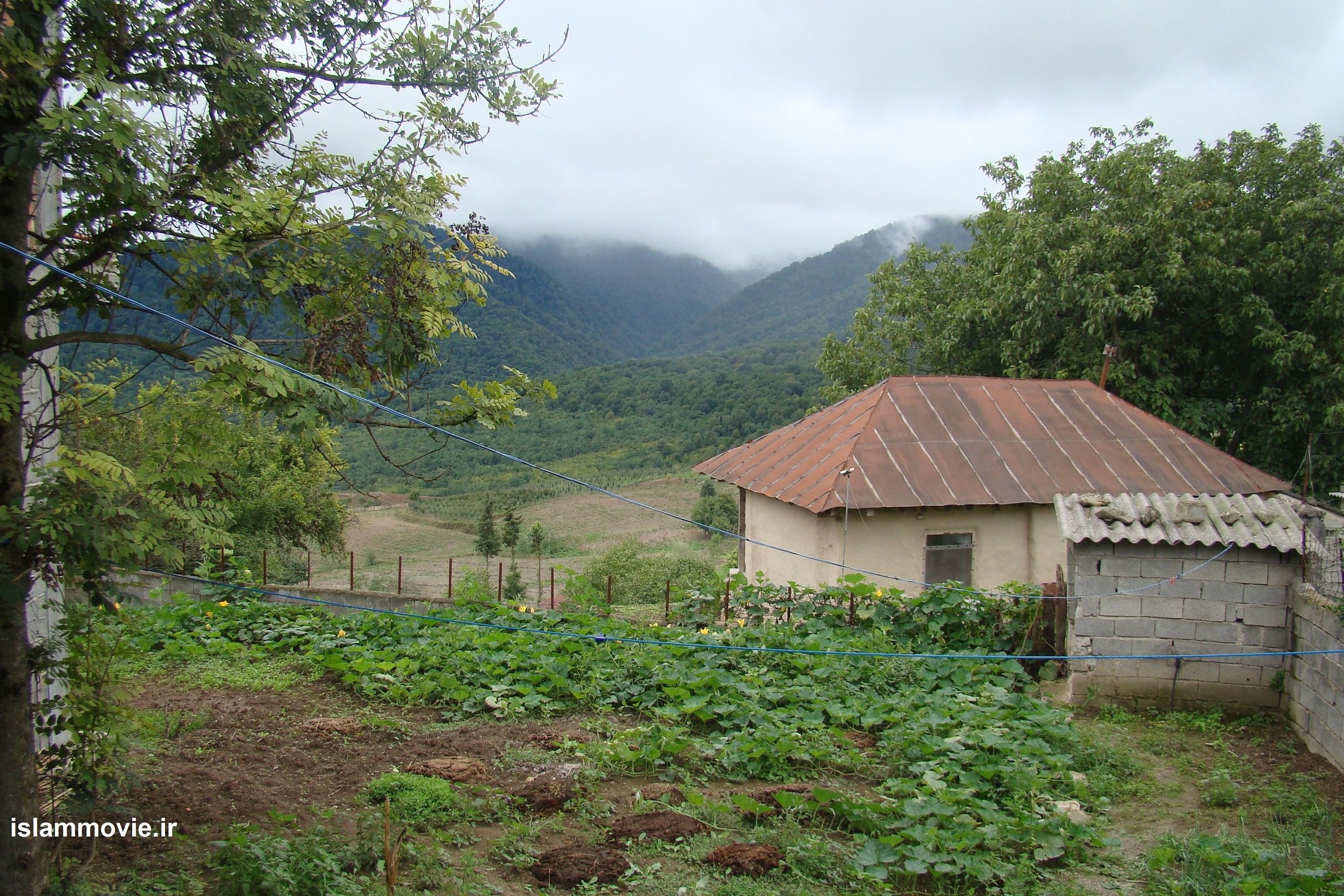 مازندران