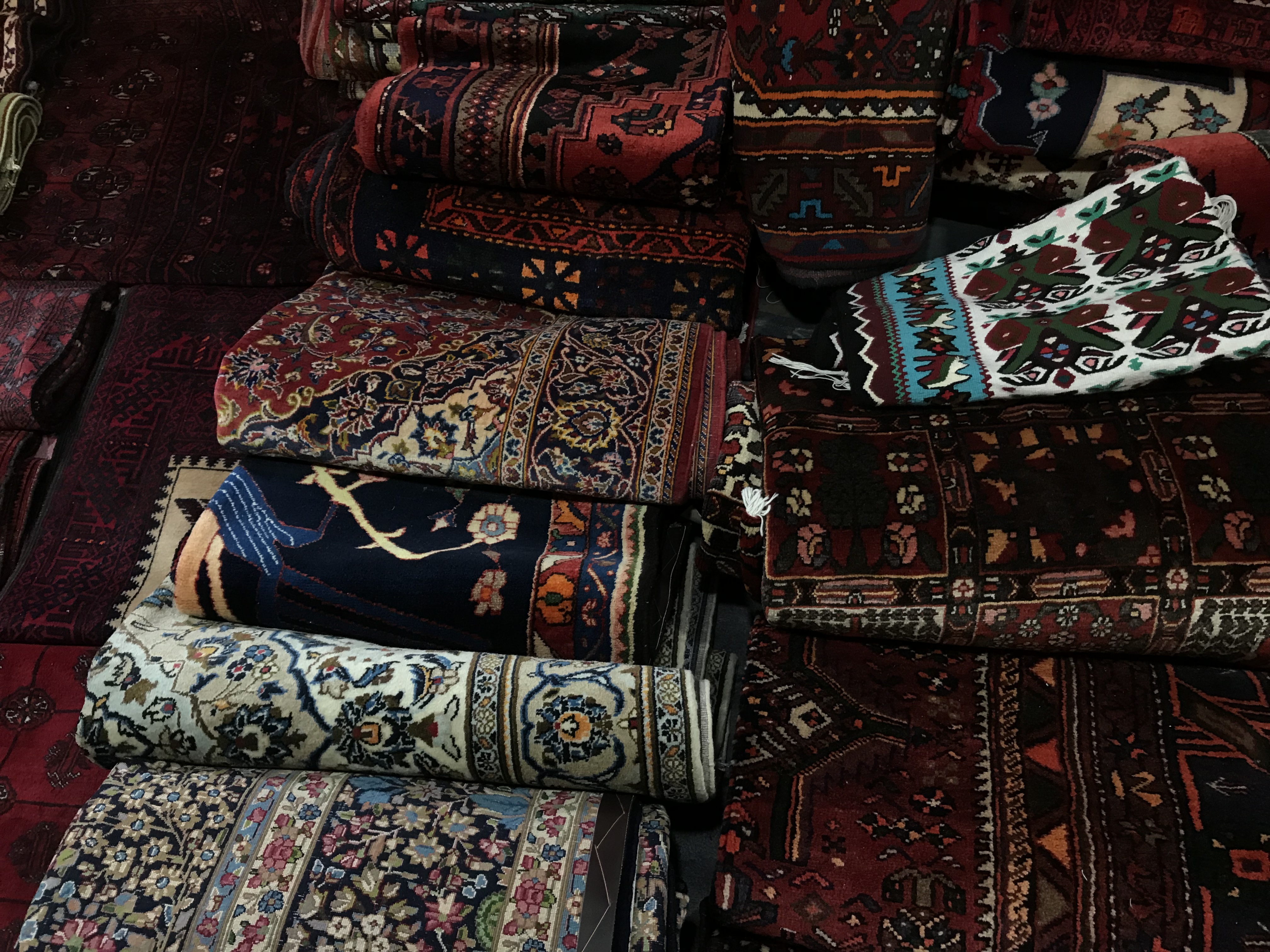 The Iranian carpet.jpg